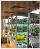 植物生长人工气候室